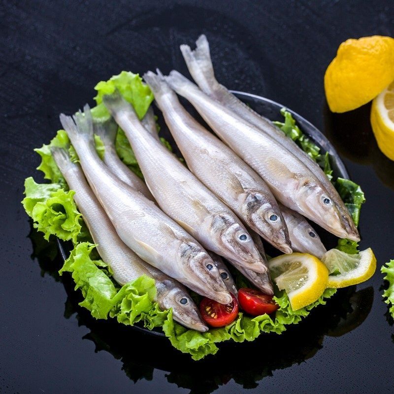 赛卡伊沙丁鱼新鲜冻货批发青岛深海鱼鲨丁鱼海捕沙尖鱼沙梭鱼大个3斤