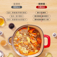 苏泊尔(SUPOR)铸铁珐琅锅22cm汤锅焖煮锅3.4L浆果红 (适合3-5人使用) ET22JAF01-R