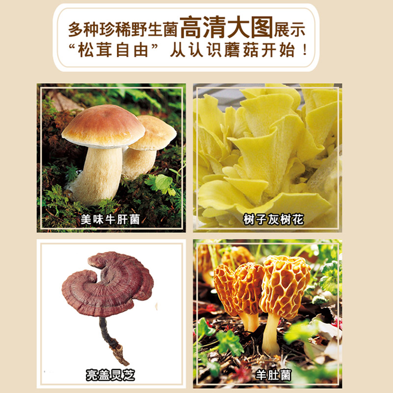 [醉染正版] 实用野生蘑菇鉴别宝典 大作晃 吹春俊光 野生蘑菇使用图鉴书籍 蘑菇菌菇松茸菌类野生菌野生蘑菇毒蘑菇识别高清大图