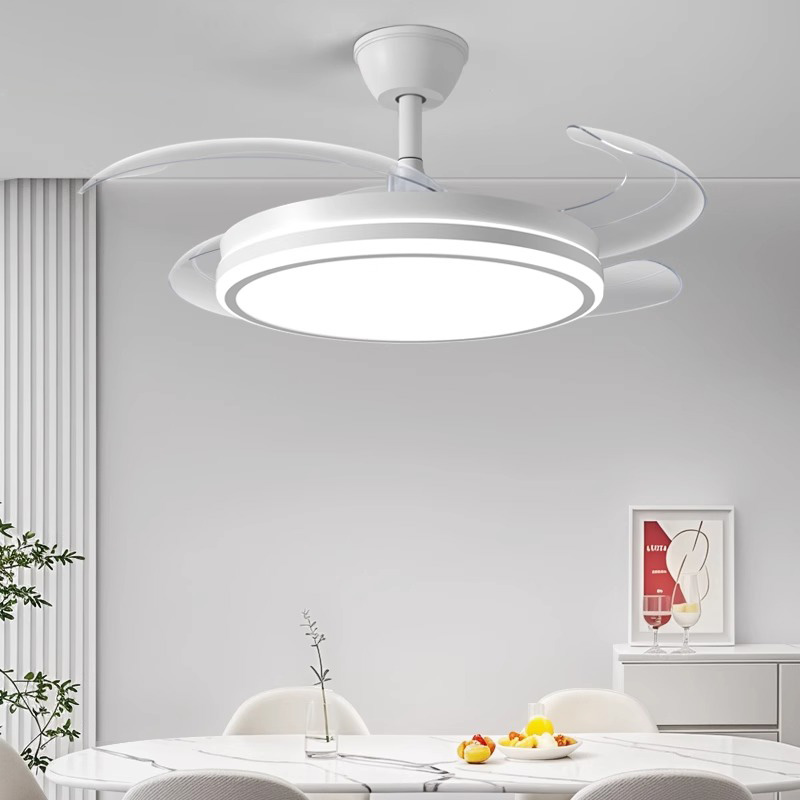 思坦库全光谱风扇灯家用吊扇灯STK-50-01高清大图