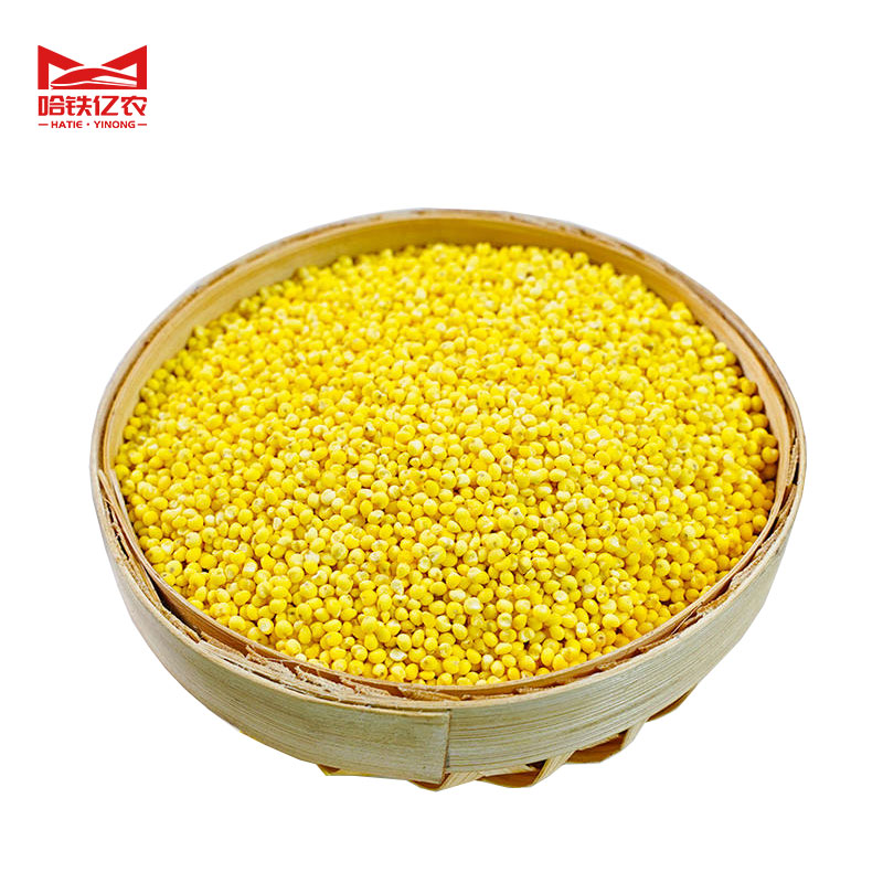 哈铁亿农 大黄米 500g/袋高清大图