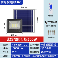 四季沐歌太阳能灯M3-65W-T01