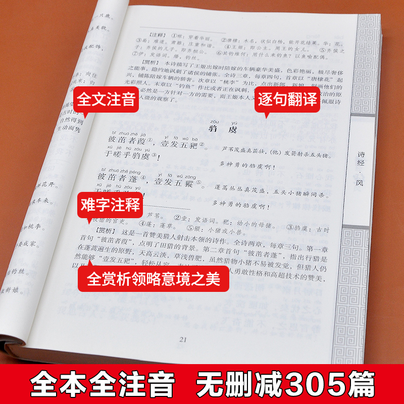 诗经楚辞全集 诗经注音版 唐诗宋词带注释鉴赏辞典插图305篇 国学经典离骚完整无删减 中华书局中国古诗词风雅颂 原著正版