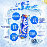 雪花啤酒(Snowbeer)8度 勇闯天涯 superX 500ml*24听 整箱装