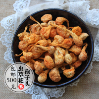 正宗大孢子头北虫草花 干货蛹虫草 金虫草 500克煲汤鲜美