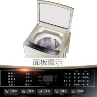 Haier海尔洗衣机 波轮洗衣机全自动10公斤家用大容量直驱变频双动力防缠绕智能预约抗菌波轮
