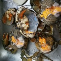 万里鲜 三门青蟹大红膏蟹海蟹鲜活 1kg 3只 生鲜活螃蟹