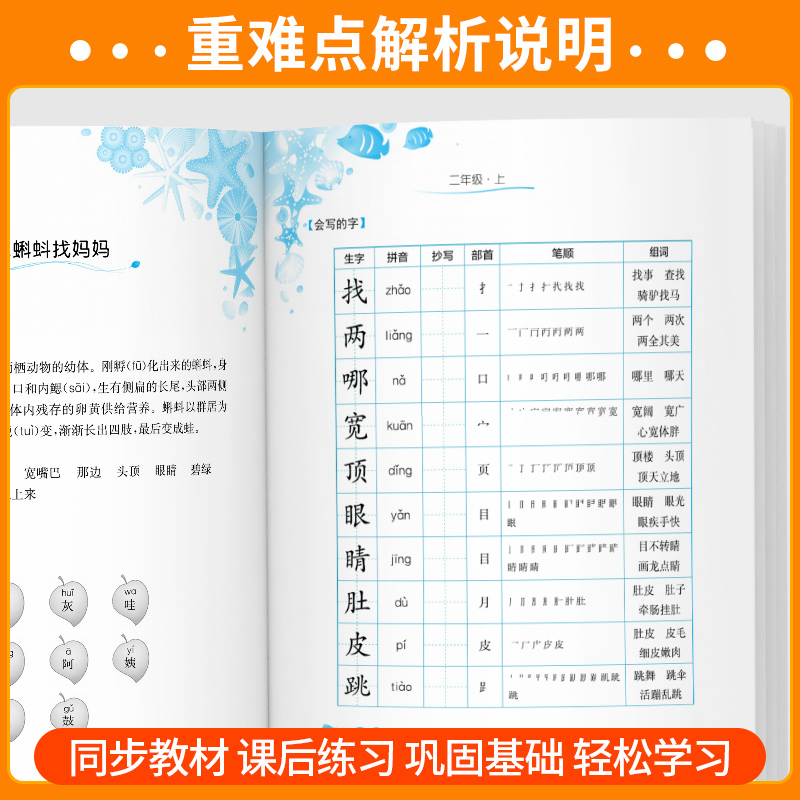 [单本]语文词语手册 五年级下 [正版]实验班小学语文词语手册一年级二年级三年级四五六年级上册下册人教版课文学汉语拼音拼高清大图