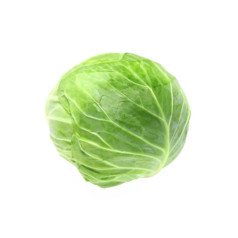 卷心菜 包心菜 圆白菜 白菜 洋白菜 5kg 参数