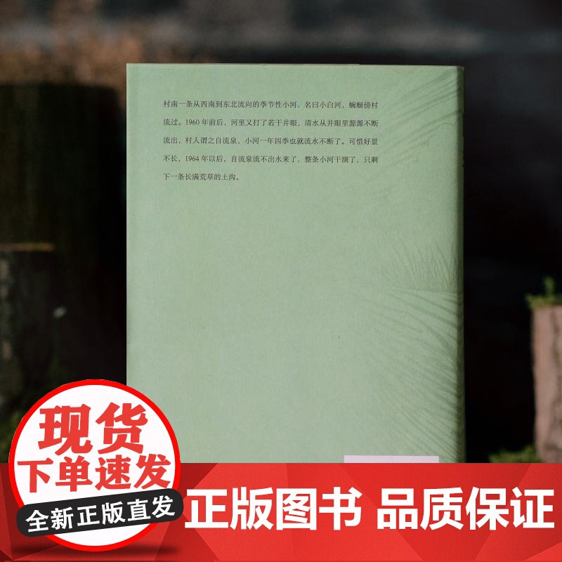 旧乡 李力广西师范大学出版社高清大图