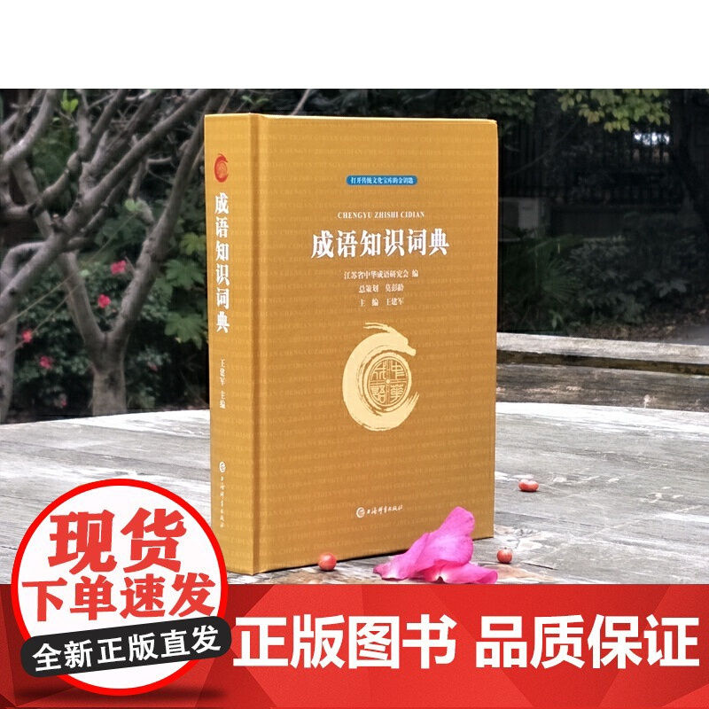 成语知识词典 江苏省中华成语研究会,王建军 编 汉语/辞典文教 正版图书 上海辞书出版社