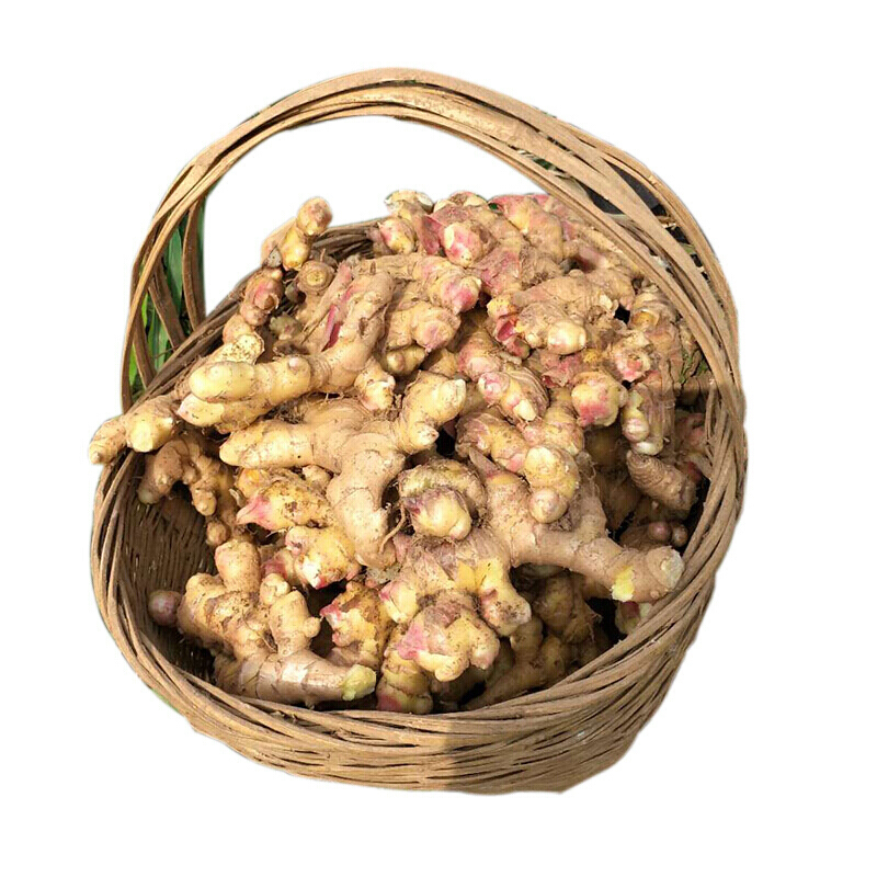 xj新鲜云南罗平小姜生姜月子姜鲜姜老生姜可开发票25kg精选