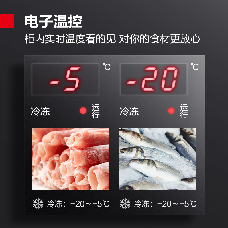 德玛仕(DEMASHI)商用风冷冰柜 厨房髙身雪柜 二封门不锈钢冷藏冷冻保鲜柜 LD0.5L2W 风冷款全冷冻