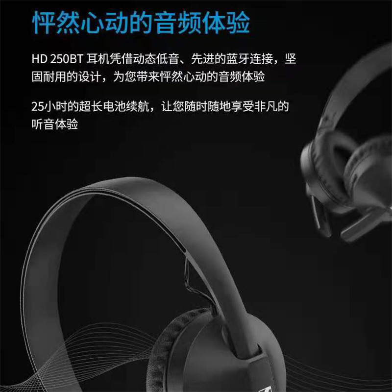 SENNHEISER/森海塞尔 HD250BT HIFI高音质重低音头戴式无线蓝牙耳机官方旗舰店hd250/hd450