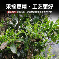 宫明茶叶 2023年头春一尖冰岛古树春茶 普洱茶生茶黑茶云南生普茶饼357g