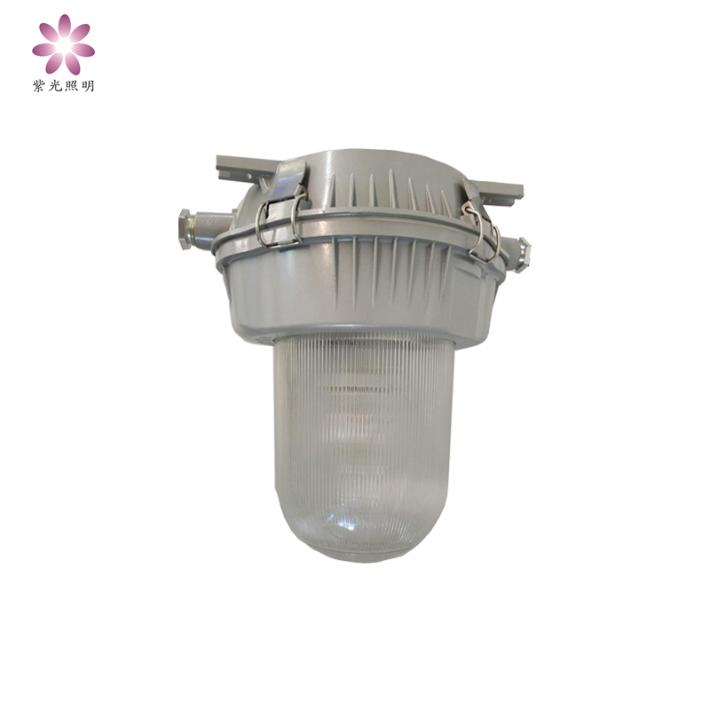 紫光照明(Purple Lighting)GF9150-J100W 防眩泛光灯