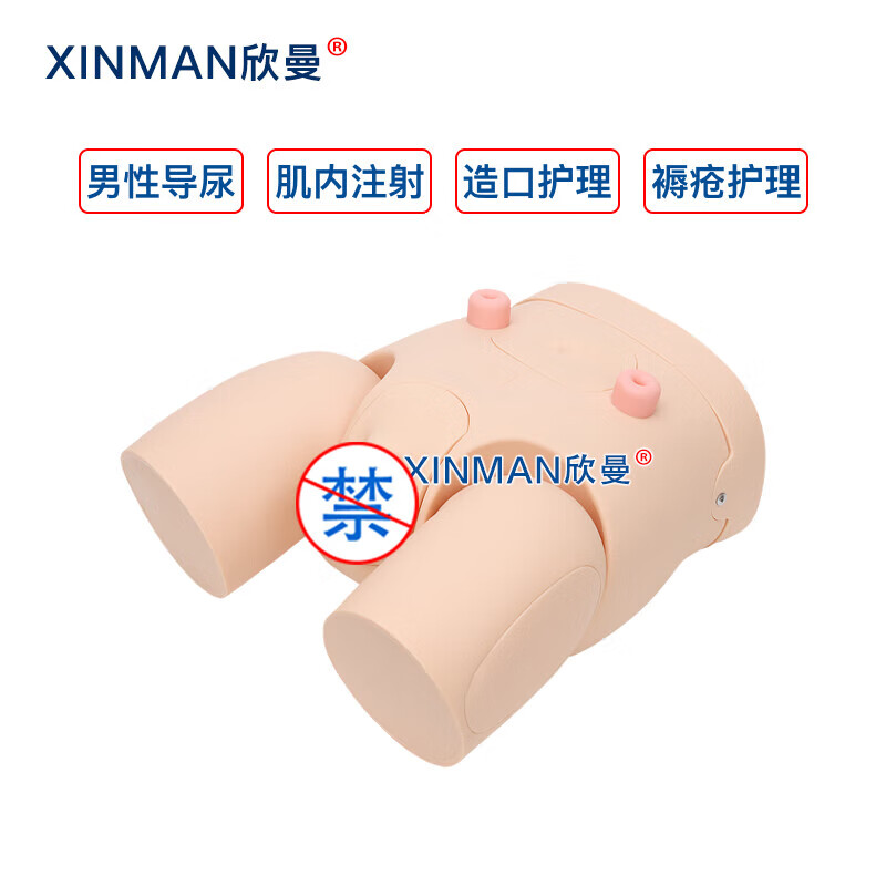 欣曼科教 高级男性导尿操作训练模型 导尿练习模拟人XM-H10高清大图