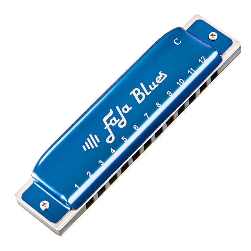 东方鼎布鲁斯12孔口琴c调蓝调金属琴格成人初学者专业演奏