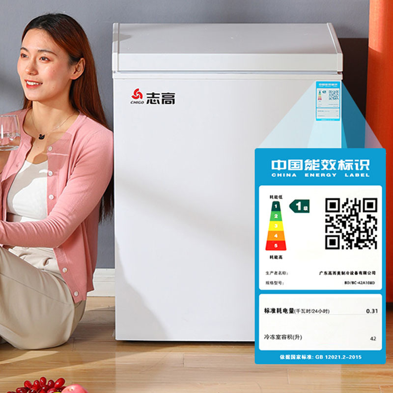 志高小冰柜家用全冷冻小型冰柜保鲜冷冻两用冷柜迷你家用双温冰柜 528A718商用款/带万向轮/三级能效/双门