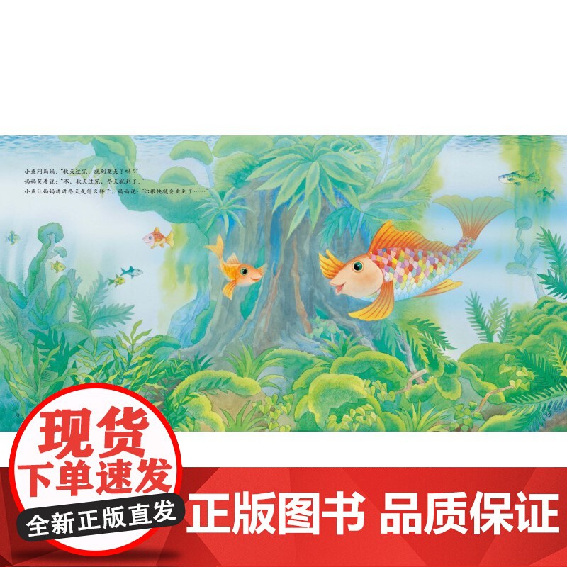 探索吧!科学!——幼儿科学启蒙经典绘本 冬天的小鱼(关于动物的过冬方式)高清大图