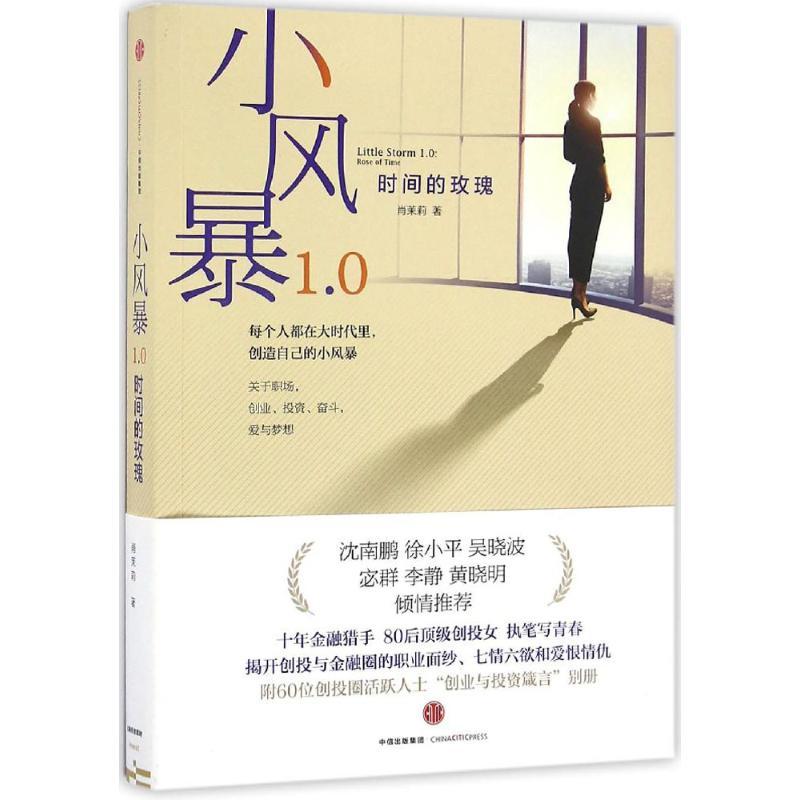 正版新书】小风暴1.0肖茉莉 著9787508664194