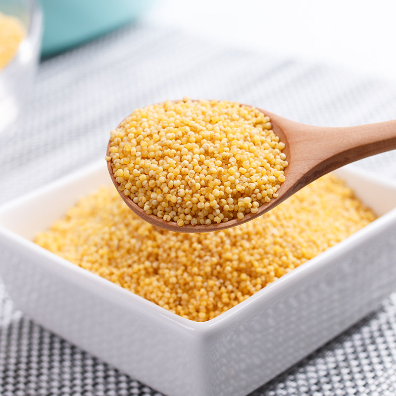 金唐(KTANG)有机黄小米1kg 小黄米粥 小米粥东北五谷杂粮
