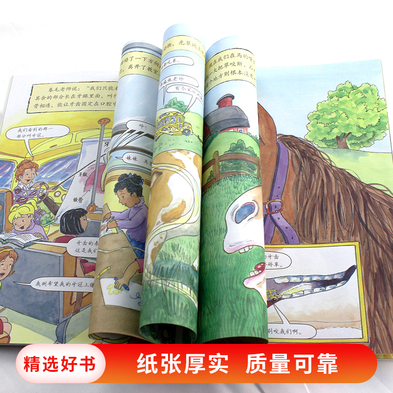 [正版]神奇校车桥梁书第五辑单本丢失的牙齿平装神奇的校车非注音版适合4岁以上蒲公英童书高清大图