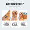 狗毛梳子狗狗梳毛神器宠物专用清理刷子大小型犬开结拉毛泰迪金毛 蓝色大号开结梳+蓝色除毛梳套装