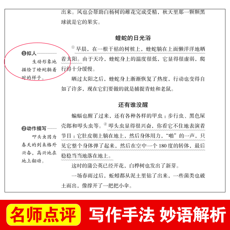 森林报 [正版]森林报四年级下册春夏秋冬合订本比安基原著名师导读带批注无障碍精读版儿童小学生版三四五六年级上册下册通用立