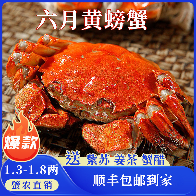 苏州精品大闸蟹鲜活六月黄螃蟹河蟹1.5两12只装公母随机大螃蟹鲜甜满黄直达到家死蟹包赔