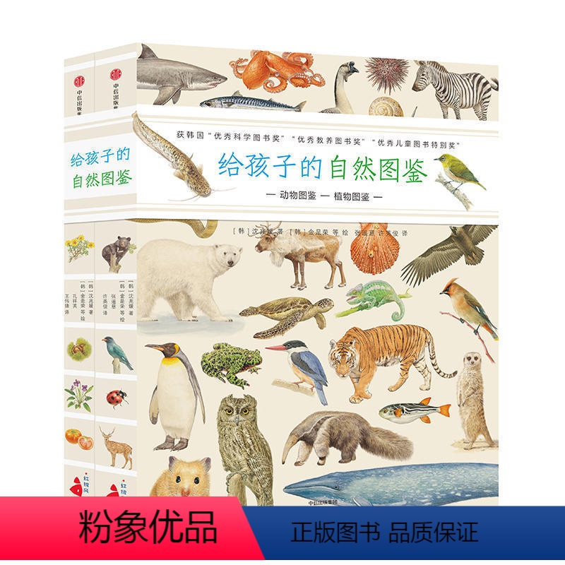 给孩子的自然图鉴(套装2册) 【正版】给孩子的自然图鉴 沈兆媛著 动植物生命形态科学认知自然手绘感受力伴侣书 锻炼孩子认