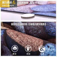 3d地垫垫地毯防滑厨房卧室客厅塑料脚垫进口家用超薄地垫子 三维工匠