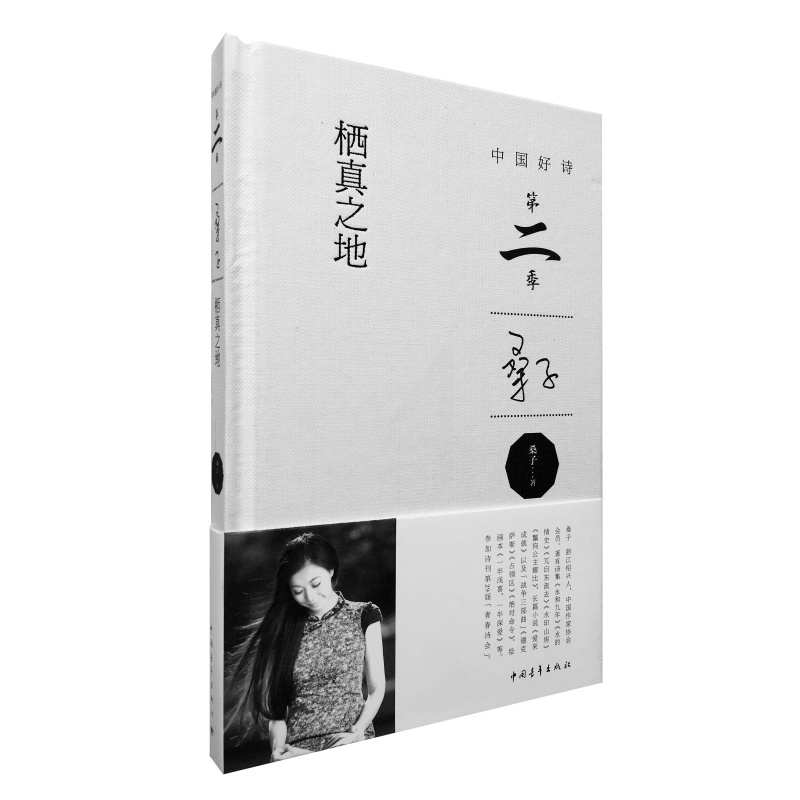 [正版]栖真之地 书店 桑子 中国现当代随笔书籍 书 畅想书高清大图