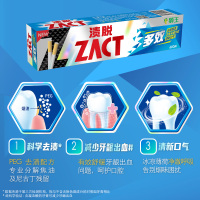 狮王(Lion)渍脱牙膏(双效型)150g