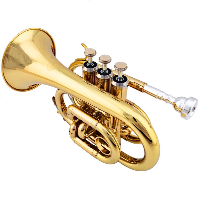 美国JAZZOR 爵士朗 手掌号便携式小号降B调袖珍短号铜管乐器新品