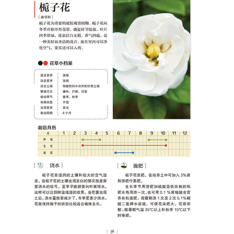 [醉染正版]幸福花草时光 家庭种花种蔬菜种水果的指南 彩色插图 种植园艺花草栽培初学者入门蔬果蔬菜种花养花书籍 园艺爱好高清大图