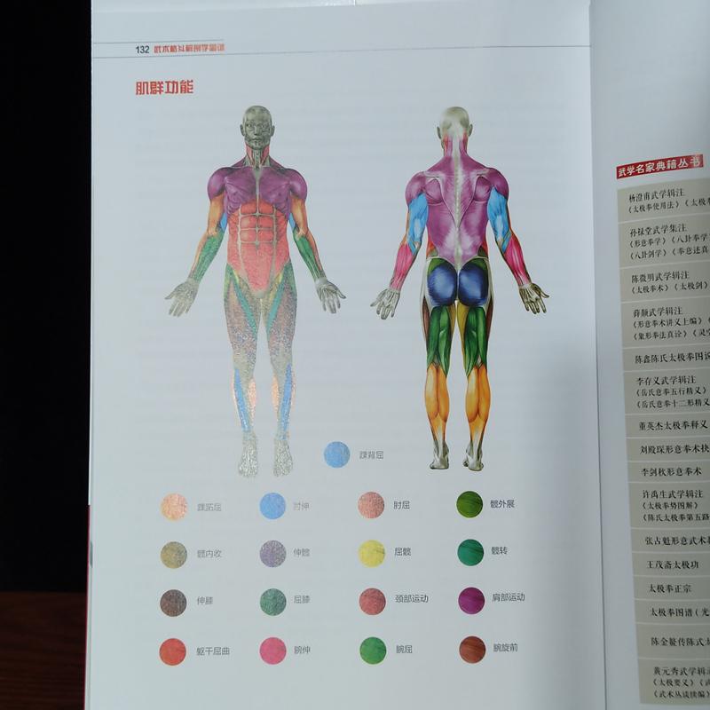 [醉染正版]武术格斗解剖学图谱 高效能攻击背后的生理学与物理学 (美)诺曼·林克,(美)莉莉·周 著 常一川 译 体育高清大图