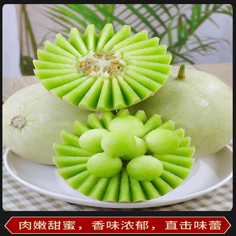五个农民 山东精品玉菇甜瓜 2.5kg*2个