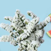 干花勿忘我云南昆明基地满天星干花配材装饰花束勿忘我永生花|勿忘我白色 1斤花(带一个白色花瓶)