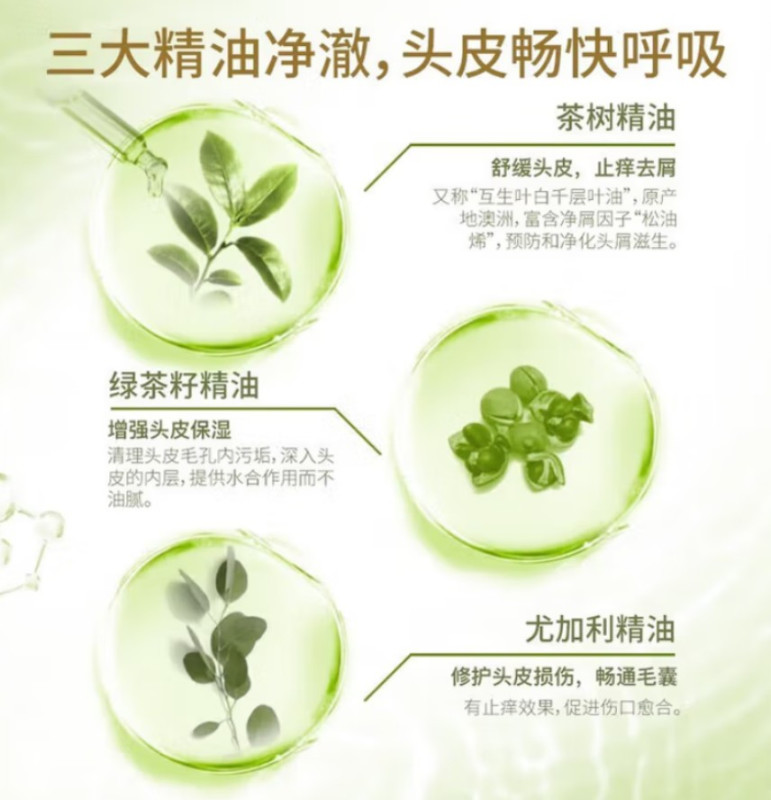 舒蕾 绿茶籽控油去屑洗发露500ml 12瓶高清大图