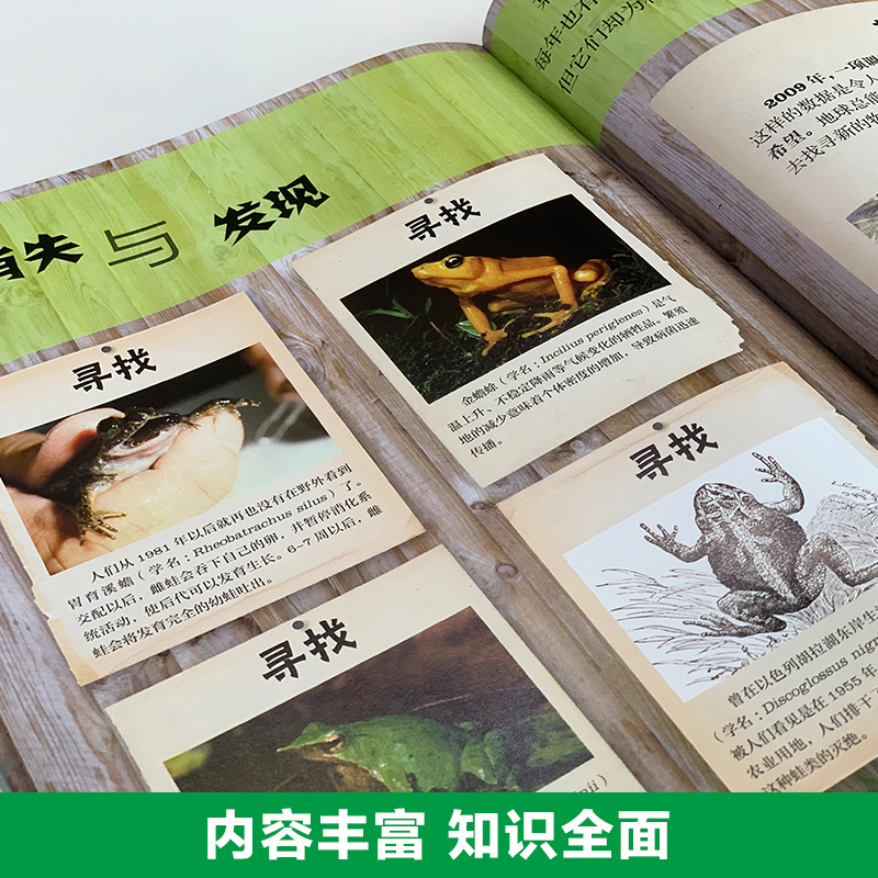[DK探索百科]气象密码 [正版]DK动物百科全书世界两栖与爬行动物图鉴了解身体构造生活习性引人入胜的真相和故事书科普类