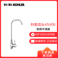 正品科勒可芙厨房水槽净水龙头家用全铜直饮水龙头K-45406T-B4-CP
