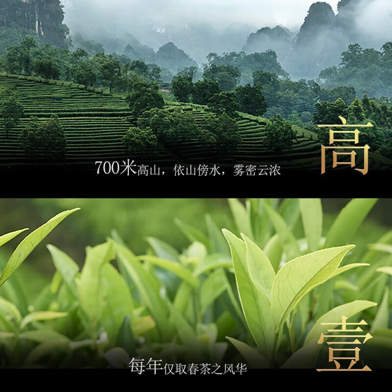 宋凰金韵蜜兰香单罐150g高清大图