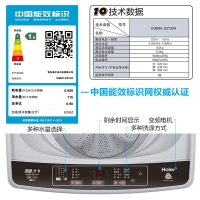 海尔（Haier）洗衣机全自动波轮 直驱变频家用低噪 大神童洗衣机 桶自洁 8公斤