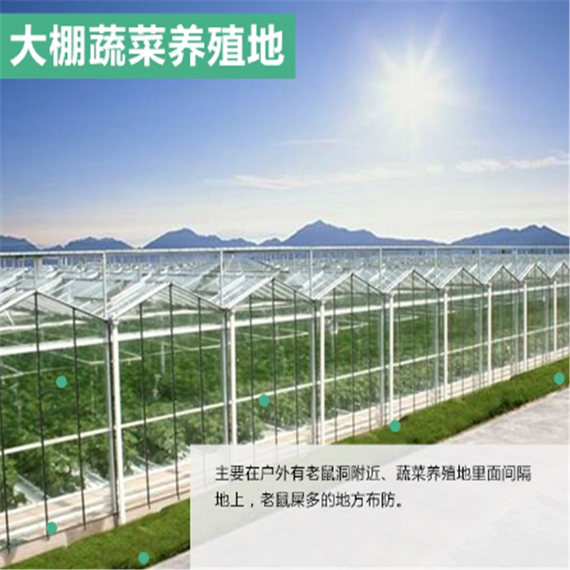 老鼠药颗粒 袋装耗子药 强力家用牧场杀鼠剂强效灭鼠灵 250g