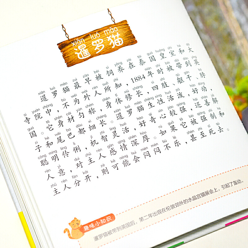 [正版]彩图有声注音书猫咪小百科宠物科普百科全书1分钟儿童科普类知识读物动物大百科养猫的书籍6-7-8岁少儿科普大百科幼高清大图