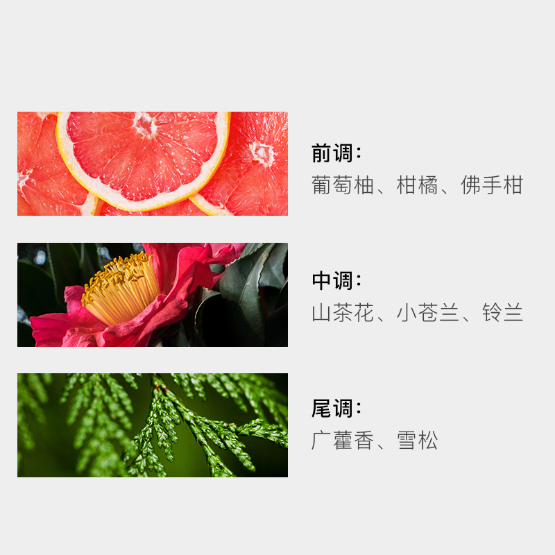 东方宝石 (Tesori D Oriente) 日式风情香薰蜡烛200ml高清大图