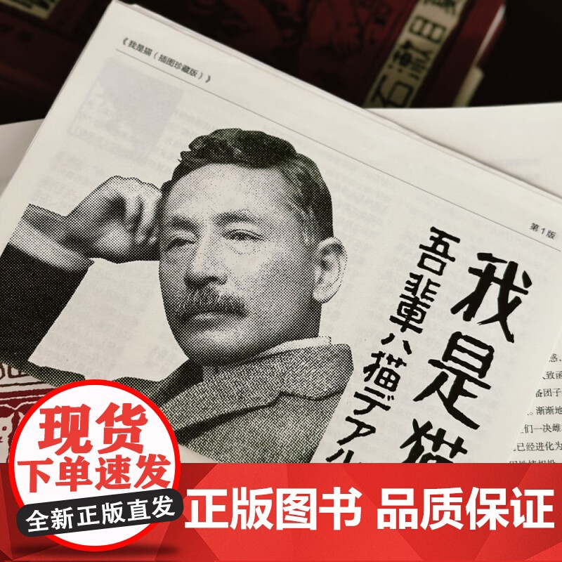 我是猫 夏目漱石 著 小说高清大图