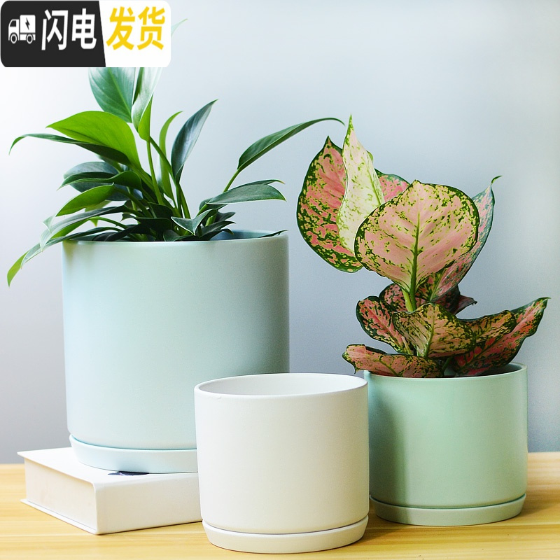 三维工匠白色简约花盆陶瓷大号特大号带托盘吊兰绿萝多肉花盆 梯形亮光白 特大花盆容器