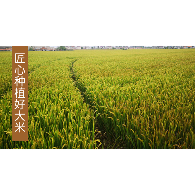 苏北 大米 40斤/袋